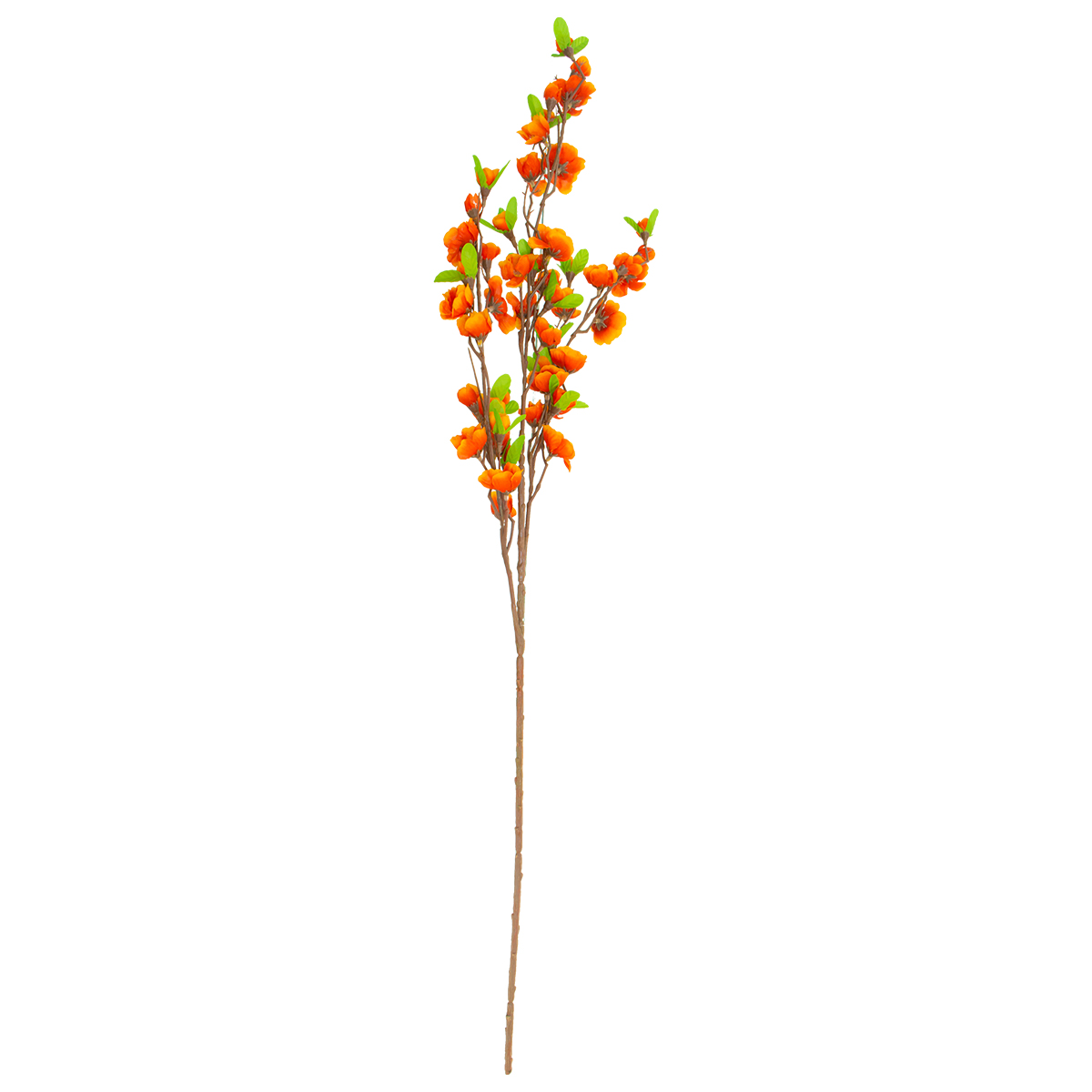 Flor De Durazno Naranja | Flores | decoracion